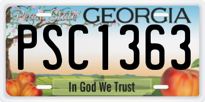 GA license plate PSC1363
