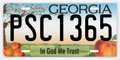 GA license plate PSC1365