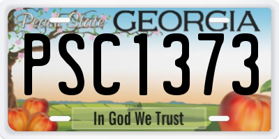 GA license plate PSC1373