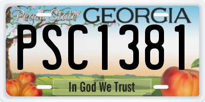 GA license plate PSC1381