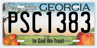 GA license plate PSC1383