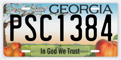 GA license plate PSC1384