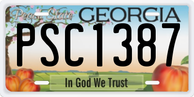 GA license plate PSC1387
