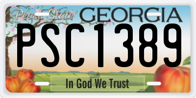 GA license plate PSC1389