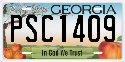 GA license plate PSC1409