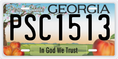 GA license plate PSC1513