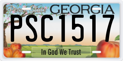GA license plate PSC1517
