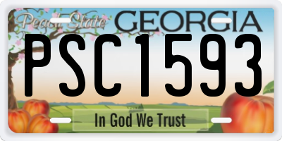 GA license plate PSC1593