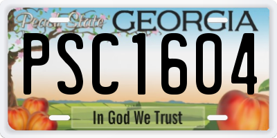 GA license plate PSC1604