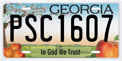 GA license plate PSC1607