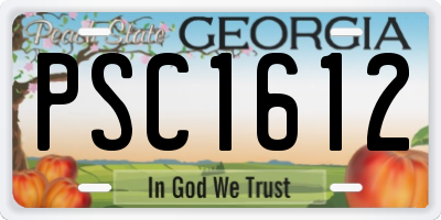GA license plate PSC1612
