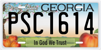 GA license plate PSC1614