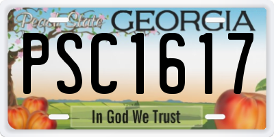 GA license plate PSC1617