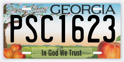 GA license plate PSC1623