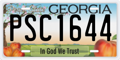 GA license plate PSC1644