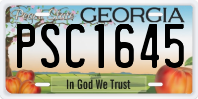 GA license plate PSC1645