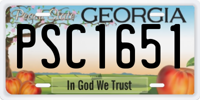 GA license plate PSC1651