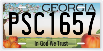 GA license plate PSC1657