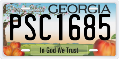 GA license plate PSC1685