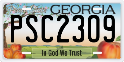 GA license plate PSC2309