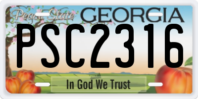 GA license plate PSC2316