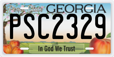 GA license plate PSC2329