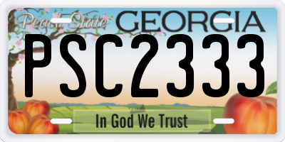 GA license plate PSC2333