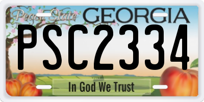 GA license plate PSC2334