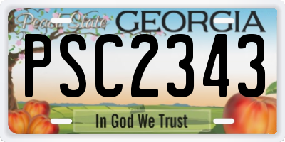 GA license plate PSC2343
