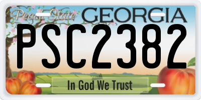 GA license plate PSC2382
