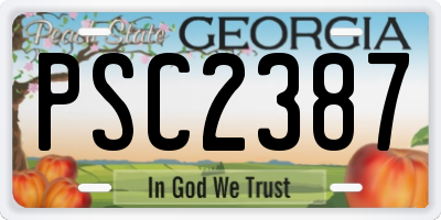 GA license plate PSC2387
