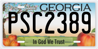 GA license plate PSC2389