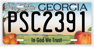 GA license plate PSC2391