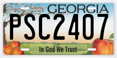 GA license plate PSC2407