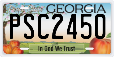 GA license plate PSC2450