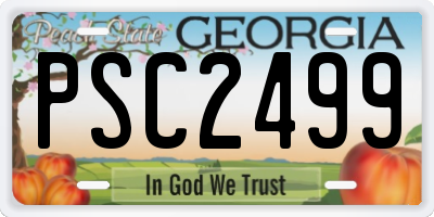 GA license plate PSC2499