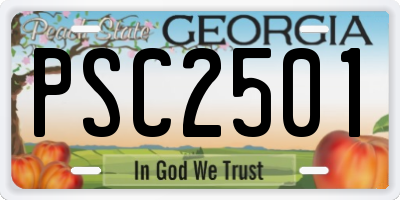 GA license plate PSC2501