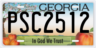 GA license plate PSC2512