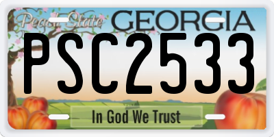 GA license plate PSC2533