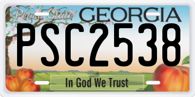 GA license plate PSC2538