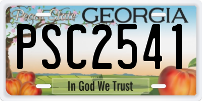 GA license plate PSC2541