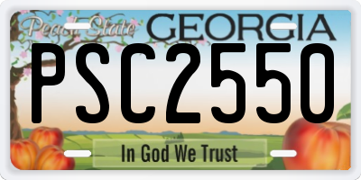 GA license plate PSC2550
