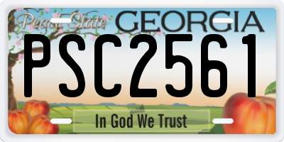 GA license plate PSC2561