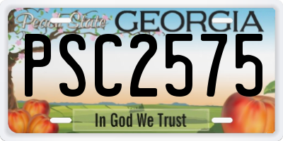 GA license plate PSC2575