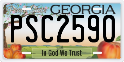 GA license plate PSC2590