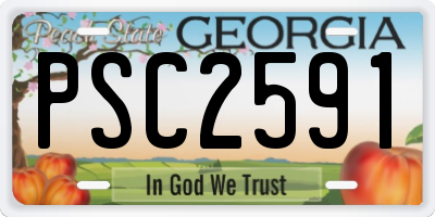 GA license plate PSC2591