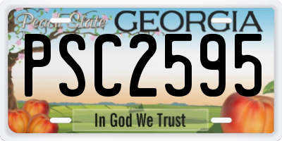 GA license plate PSC2595