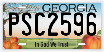 GA license plate PSC2596