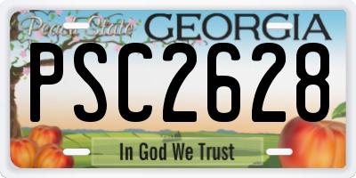 GA license plate PSC2628
