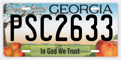 GA license plate PSC2633